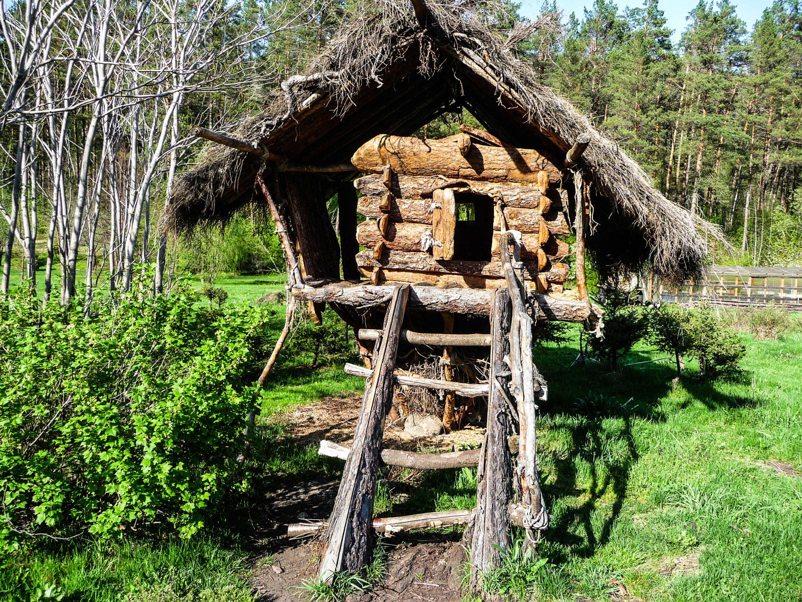 Kamlak (Камлак)